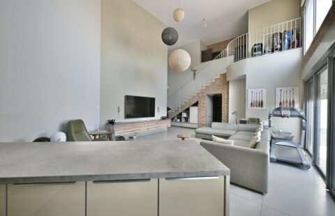 למכירה: פנטהאוז לופט 5 חדרים, ראשון לציון – קרית גנים